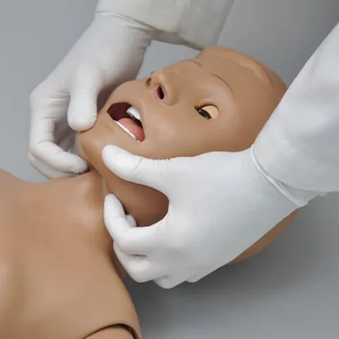 Door het scharnierende hoofd de nek en de kaak kan het hoofd worden gekanteld en kunnen chinlift en jawthrust worden toegepast